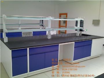 医用优质全钢中央台实验室洁净实验台实验室边台
